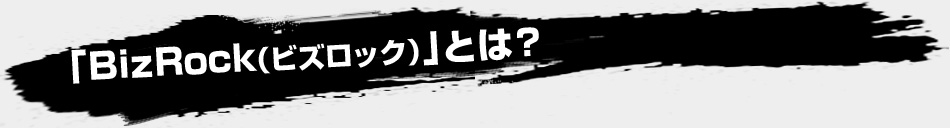 「BizRock（ビズロック）」とは？